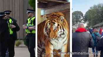'Thinking of his family' - Mauled man 'clearly autistic' using 'sign language' to communicate with 'bad' tiger