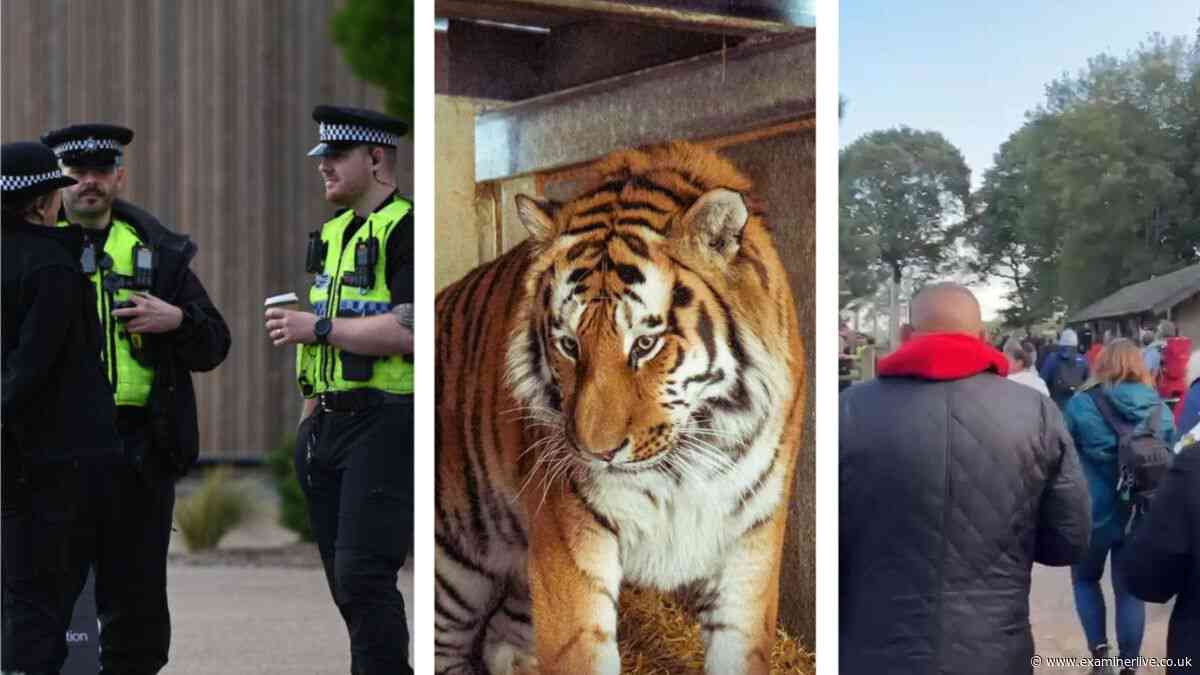 'Thinking of his family' - Mauled man 'clearly autistic' using 'sign language' to communicate with 'bad' tiger