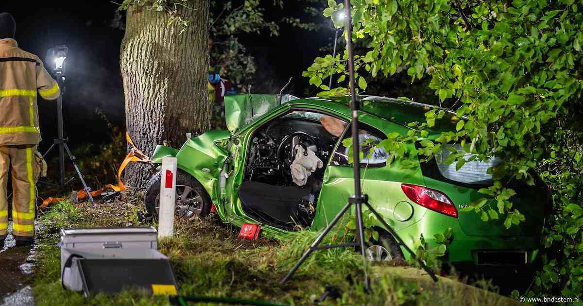 Vrouw (32) overleden na frontale botsing auto tegen boom, twee inzittenden gewond