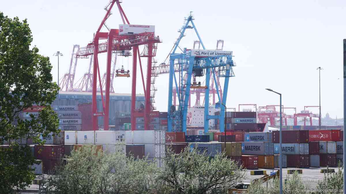 Pancake mix, plastic bowls and sardines all barred from entering Liverpool's major port