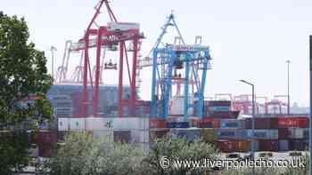 Pancake mix, plastic bowls and sardines all barred from entering Liverpool's major port