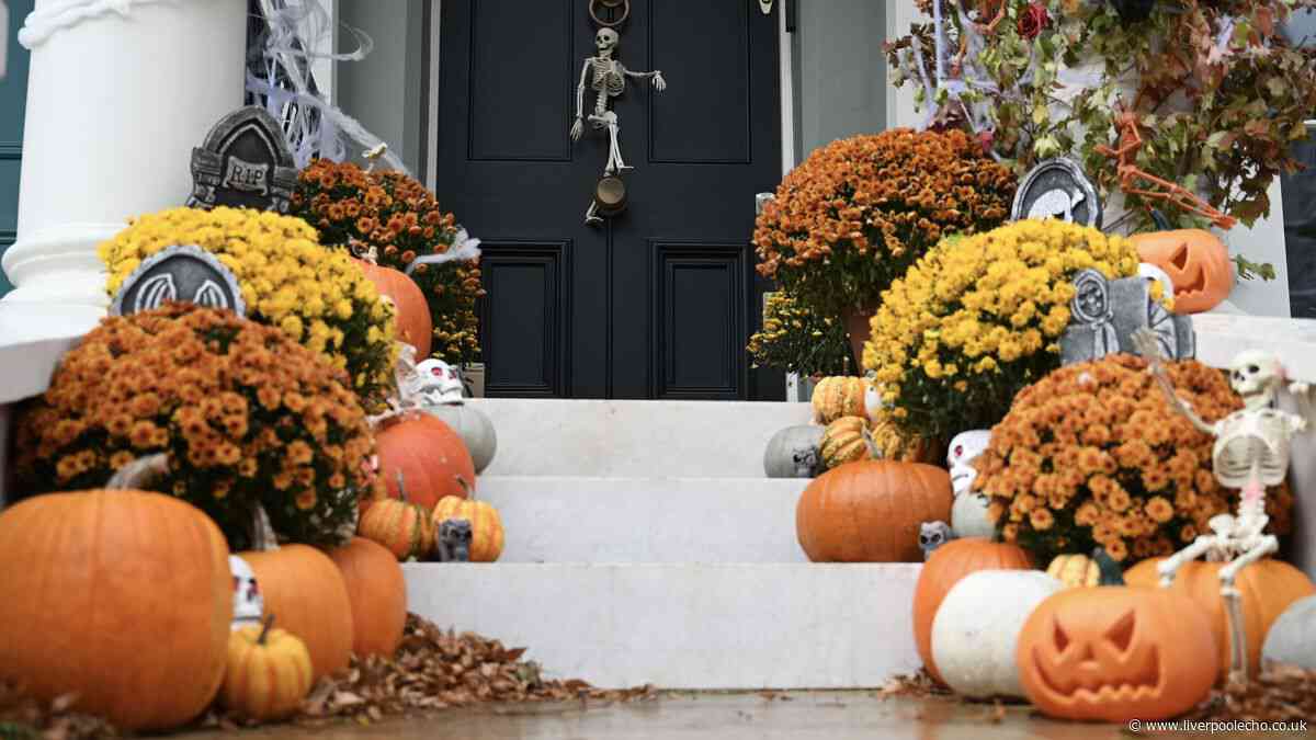 Binman points out problems with pumpkins this Halloween