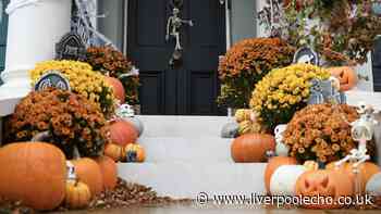 Binman points out problems with pumpkins this Halloween