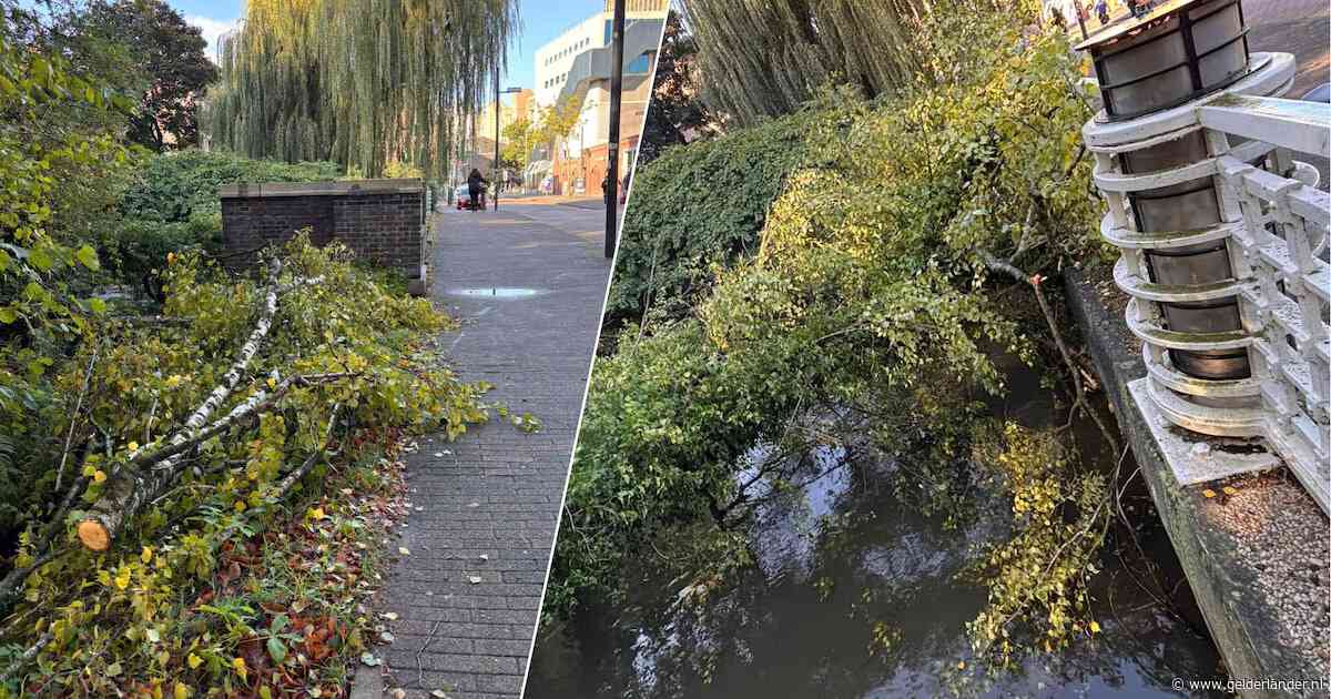 Boom valt op deelnemers Urban Walk, toestand wandelaars onbekend