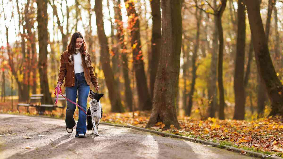Herfstweer maakt komende week plaats voor droge dagen met 20 graden