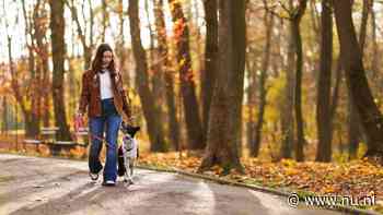 Herfstweer maakt komende week plaats voor droge dagen met 20 graden