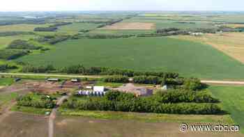 Sask. farmers seeing gains from protein craze