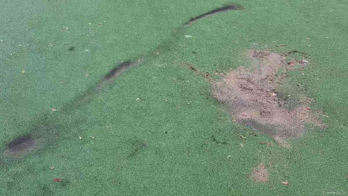 Vuurwerk in slaapkamer Barneveld gevonden: 'Ouders, ga met je kind in gesprek'