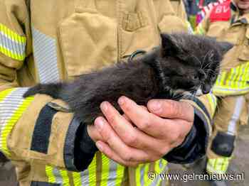 Brandweer bevrijdt kitten dat vastzat in auto, mogelijk al twee dagen