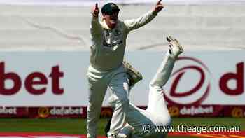 Australia vs South Africa LIVE: Smith takes third stunning catch of the day as South African wickets topple