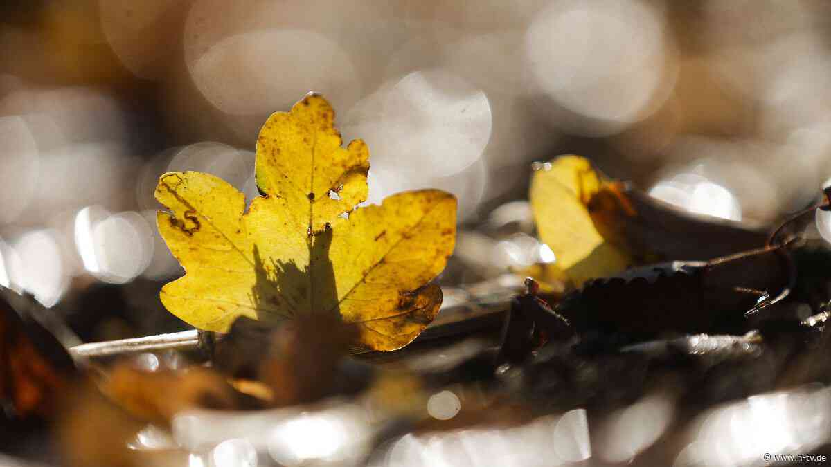 Die Wetterwoche im Schnellcheck: Herbst zeigt sich von seiner goldenen Seite
