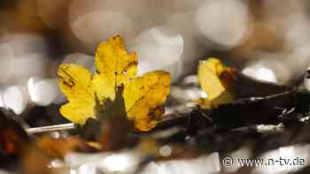 Die Wetterwoche im Schnellcheck: Herbst zeigt sich von seiner goldenen Seite