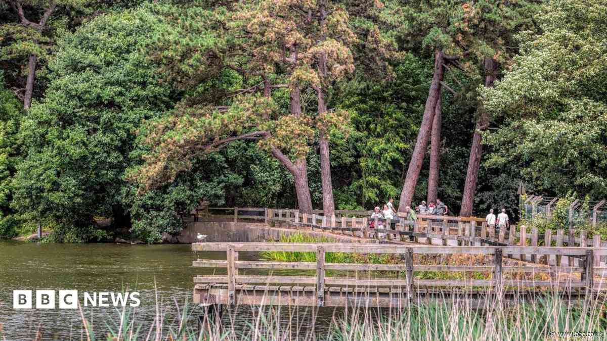 Country park barrier plan to tackle nuisance drivers
