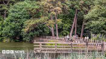 Country park barrier plan to tackle nuisance drivers