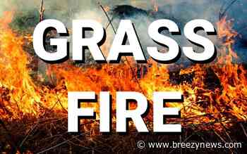 Grass Fire Reported Near Sallis Friday