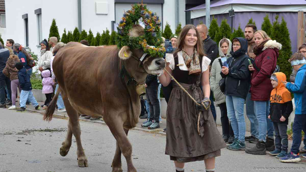 Der kleinste und letzte Viehscheid im Allgäu: Die schönsten Bilder aus Oberschönegg