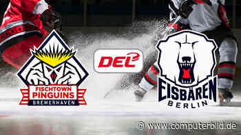 Fischtown Pinguins gegen Eisbären Berlin: DEL heute live und gratis sehen