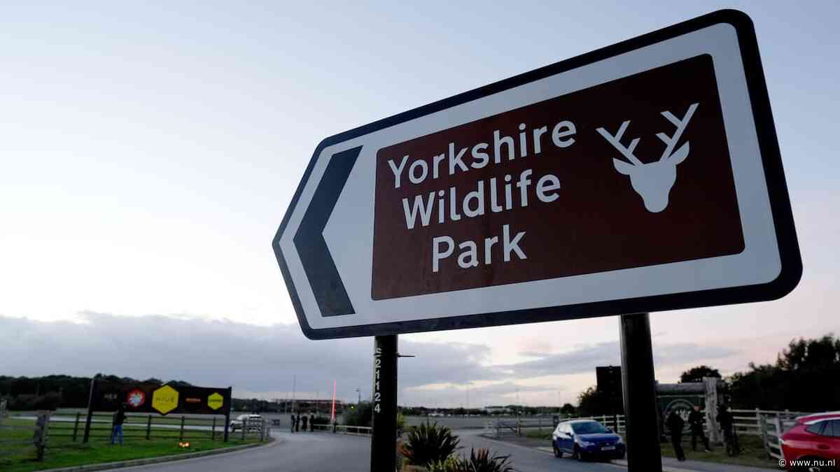 Brits dierenpark blijft langer dicht nadat tijger man doodde die in verblijf klom