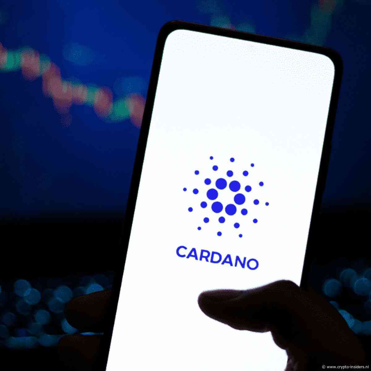 Cardano domineert Bitcoin en XRP in Nederland, maar koers zakt flink