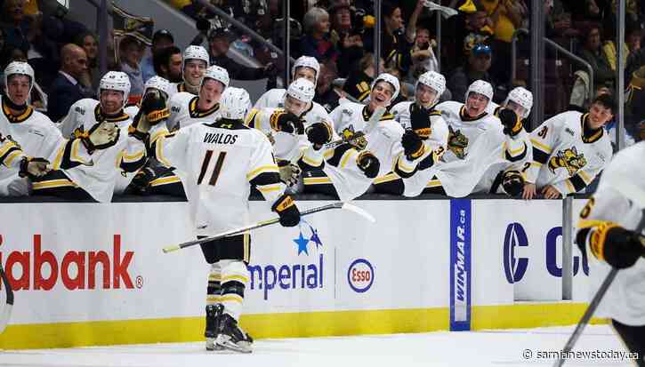 Walos' two goals not enough for Sting as they fall to Flint