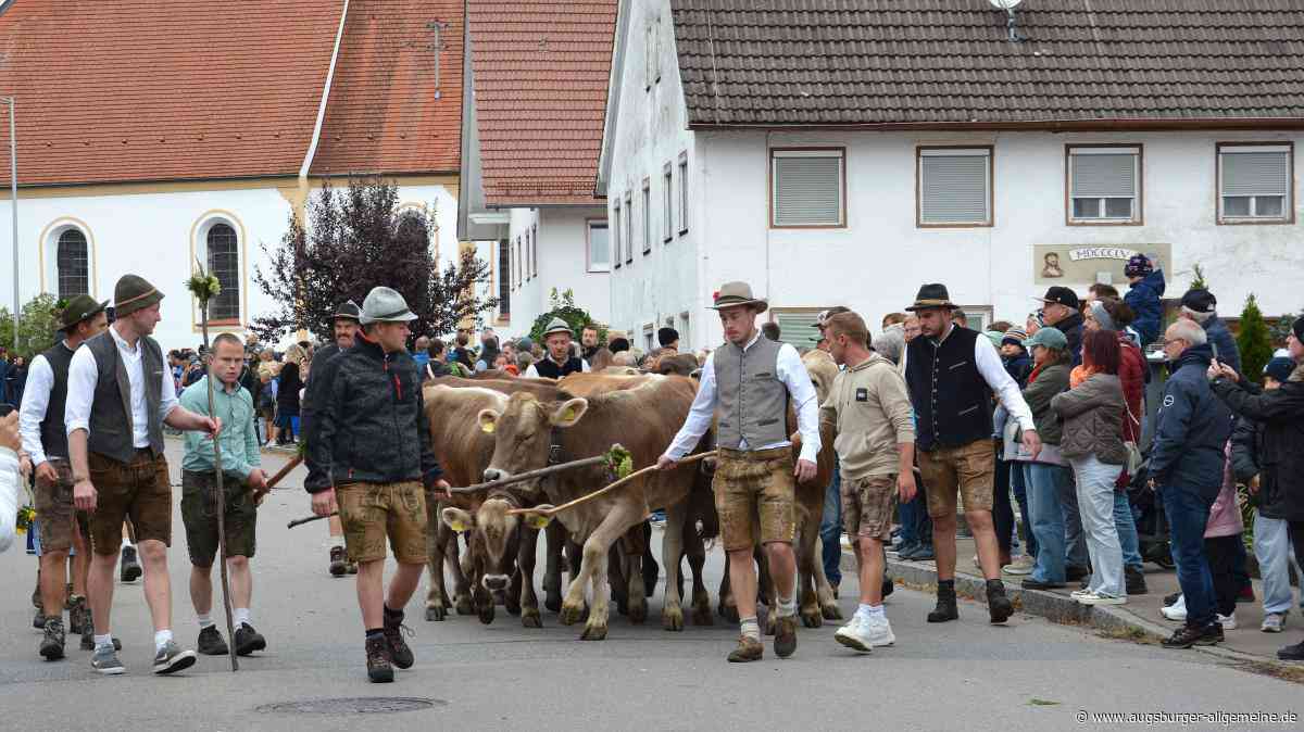 Zahlreiche Zuschauer beim kleinsten und letzten Viehscheid des Jahres
