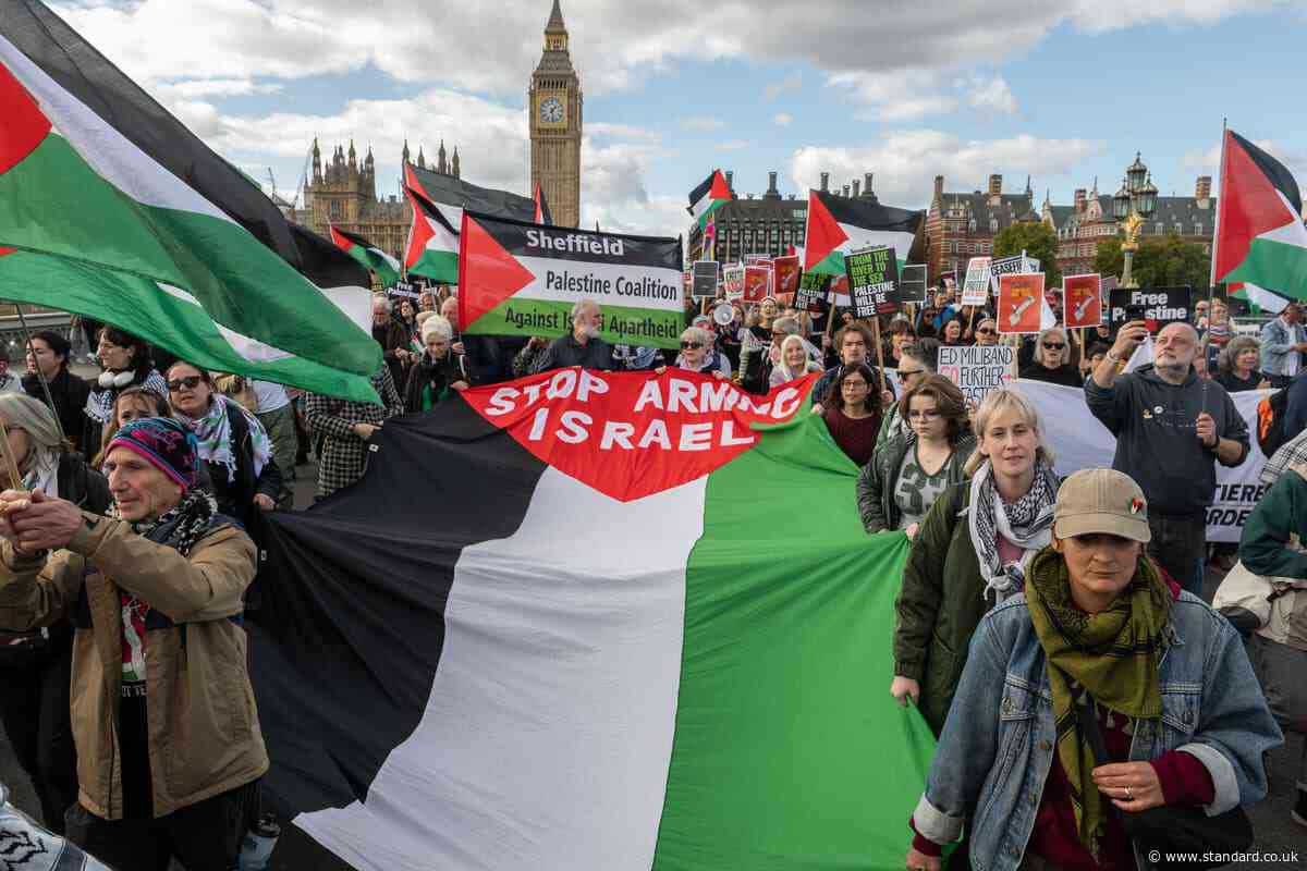 How big was London's Palestine march? Organisers claim 250,000 protesters attended