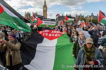 How big was London's Palestine march? Organisers claim 250,000 protesters attended