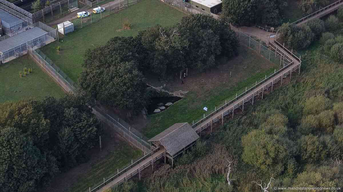 Yorkshire Wildlife Park witnesses reveal tragic new details about man killed in tiger attack