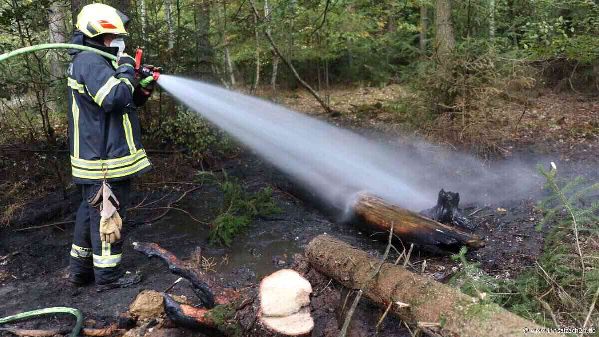 Aufregung am Sonntag in Waldkraiburg: Waldbrand löst Feuerwehreinsatz aus