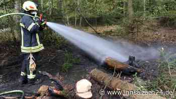 Aufregung am Sonntag in Waldkraiburg: Waldbrand löst Feuerwehreinsatz aus