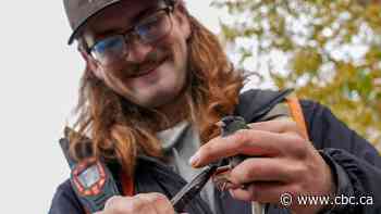 Fort McMurray non-profit launches long-term studies of bird populations in oilsands region