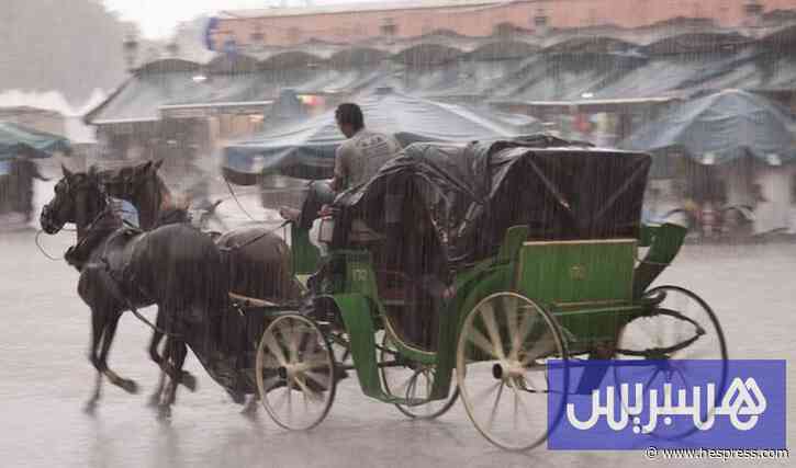 نشرة إنذارية جديدة.. هذه حصيلة الأمس