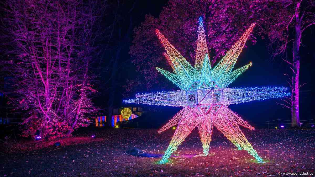 Neues Programm vom Christmas Garden: Damit will die Lichtershow begeistern
