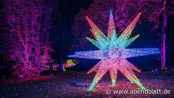Neues Programm vom Christmas Garden: Damit will die Lichtershow begeistern