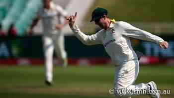 Australia vs South Africa LIVE: Smith’s three stunning catches set new record as South African wickets topple