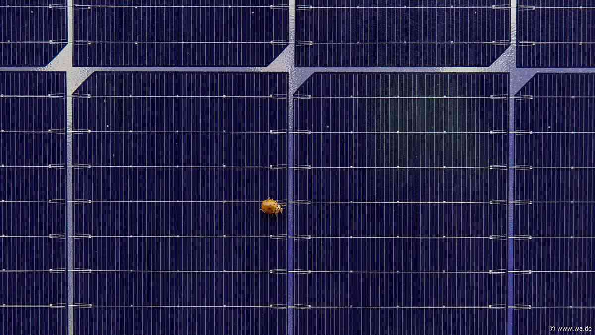 Deutscher Solar-Pionier rutscht nach starkem Wachstum in die Insolvenz