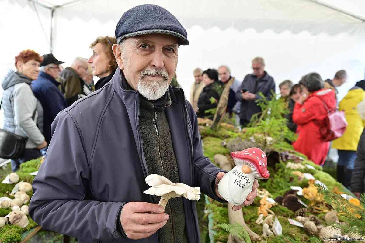 Vogtländischer Fachmann warnt: Dieser Pilz kann sogar Genschäden zur Folge haben