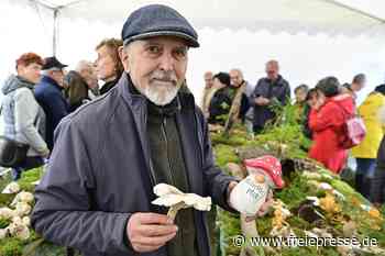 Vogtländischer Fachmann warnt: Dieser Pilz kann sogar Genschäden zur Folge haben