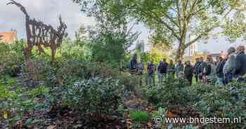 Buurtbewoners realiseren eigen weeskunstroute in Vrouwenhofpark: ‘Het park moet meer leven krijgen’