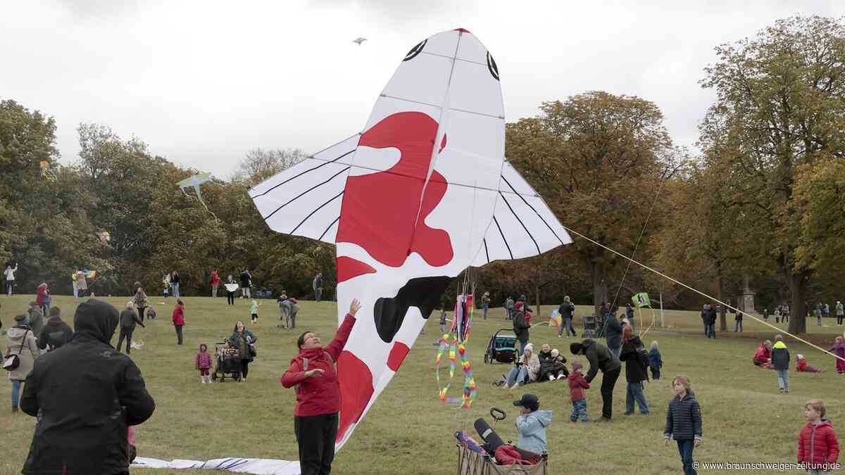 Braunschweigs Familien feiern Drachenfest am Nußberg – die 19 buntesten Fotos
