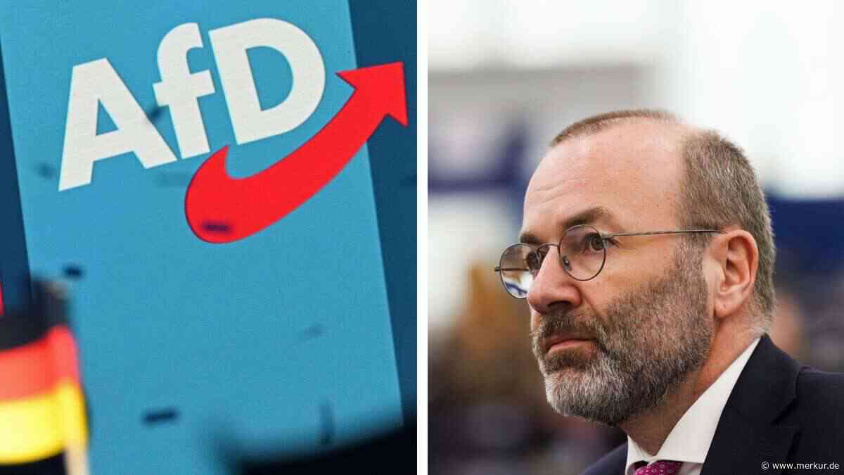 Mehrheit der Deutschen will politische Brandmauern – doch nicht nur zur AfD