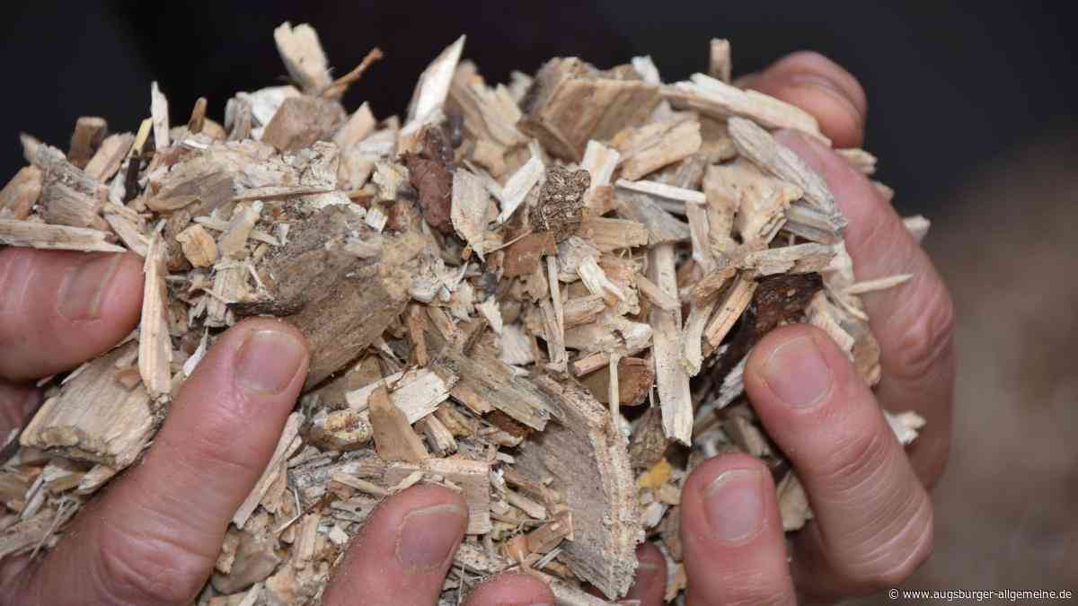 Kripo ermittelt nach Brand in einer Hackschnitzelanlage