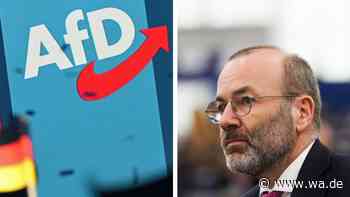 Mehrheit der Deutschen will politische Brandmauern – doch nicht nur zur AfD