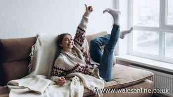 £42 Radiator gadget could cut energy bills by 22% after Ofgem price cap rise