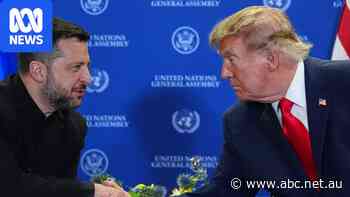 'Up to our people': Zelenskyy responds to Trump's election call