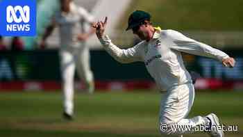 Live: Bad light stops play after Aussie openers make positive start