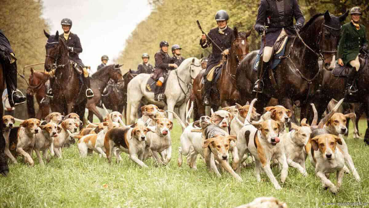 Herbstjagd auf Herrenchiemsee: Warum der Ritt durch den Kanal diesmal trocken blieb