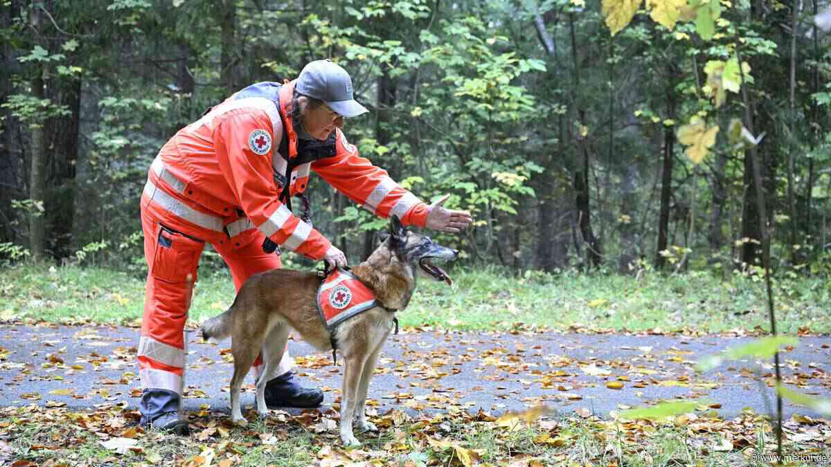 Mit Drohnen und Spürhunden: Vermisstensuche in Geretsried – Großübung der Polizei