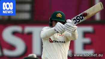 Bad light stops play again after Nic Maddinson's statement shot