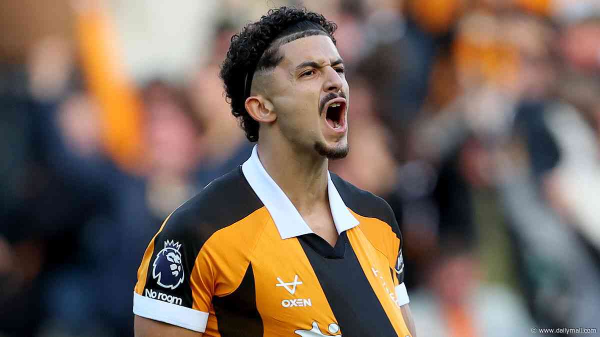 Hull 2-2 Everton: Mohamed Belloumi salvages draw for the Tigers in exhilarating second half... as visitors' unbeaten start continues two days after owners revealed plan to sell